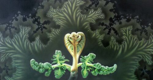 Unfolding Golden Fractal Fern