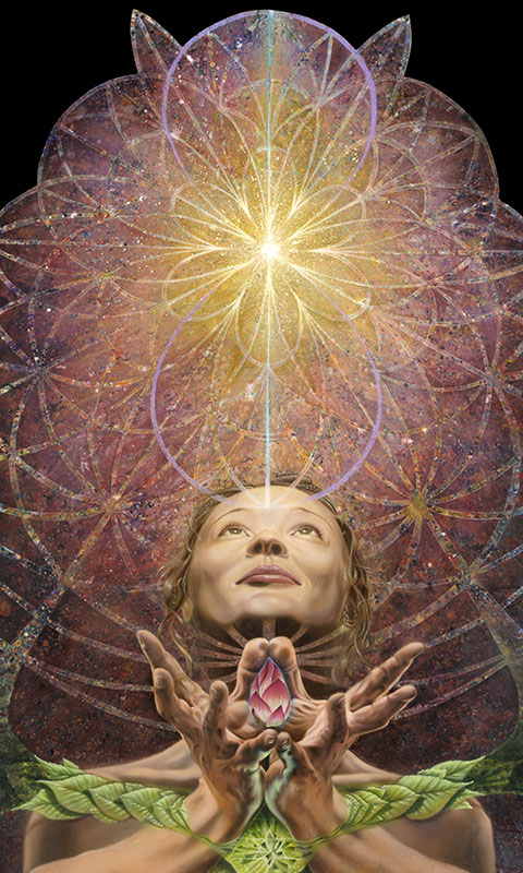 Opening the Petals of Devotion Eric Nez